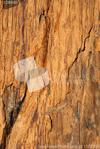 Image of Shale rock