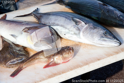 Image of Mediterranean fishes on the market