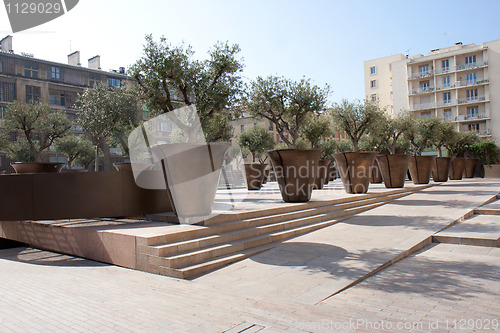 Image of Olive trees of the square Villeneuve Bargemon