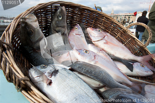 Image of Wicker basket of fishes