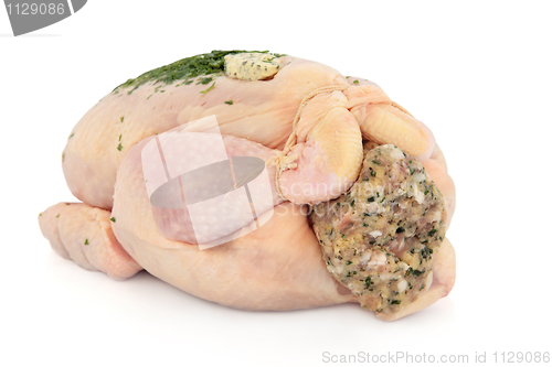 Image of Stuffed Chicken