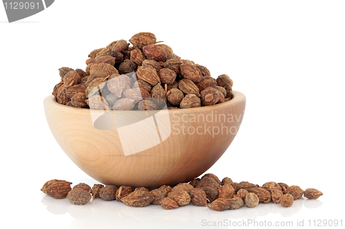 Image of  Ginger Seed
