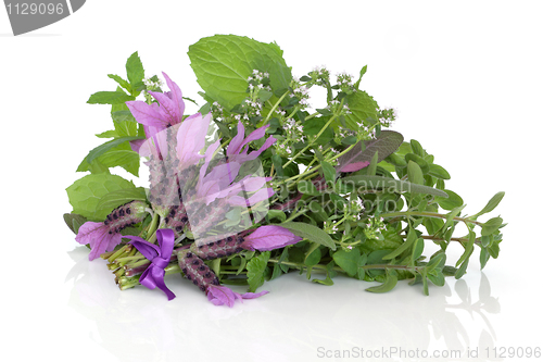 Image of Medicinal Flower and Herb Leaves