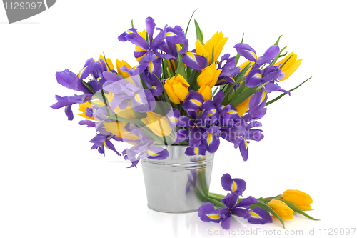 Image of Tulip and Iris Flowers