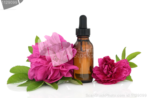 Image of Rose Flower Essence