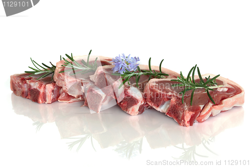 Image of Lamb Chops