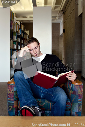 Image of Reading at the Library