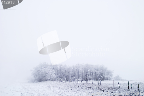 Image of Prairie Fog