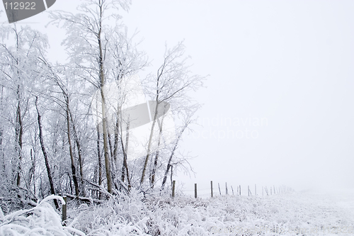 Image of Prairie Fog