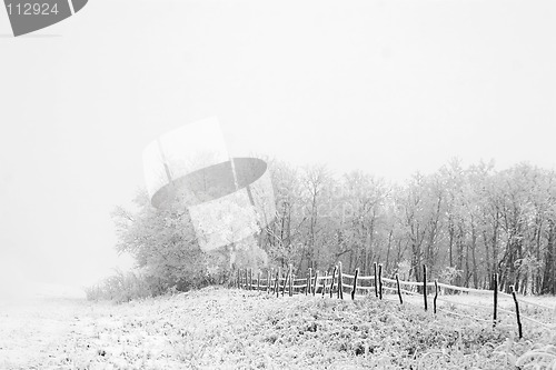 Image of Prairie Fog