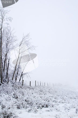 Image of Prairie Fog