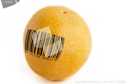 Image of GMO Orange