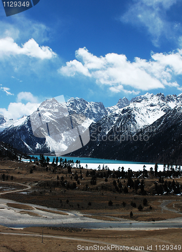 Image of Landscape in winter