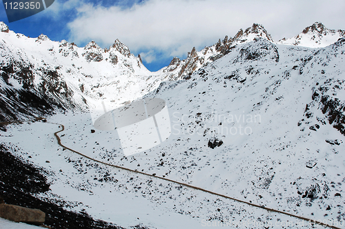 Image of Landscape in winter