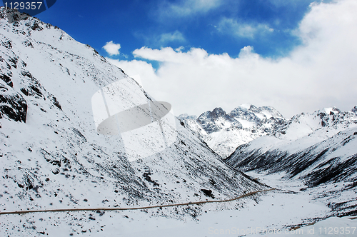 Image of Landscape in winter