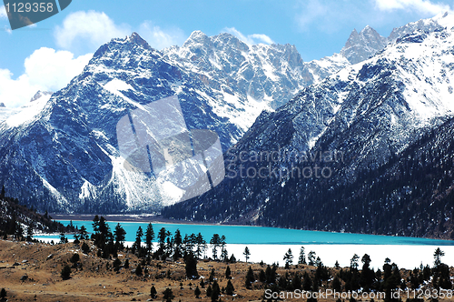 Image of Landscape in winter