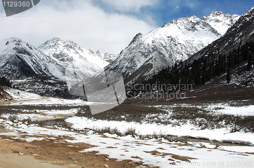 Image of Landscape in winter