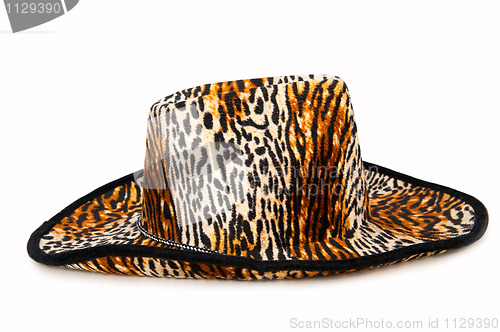 Image of Hat