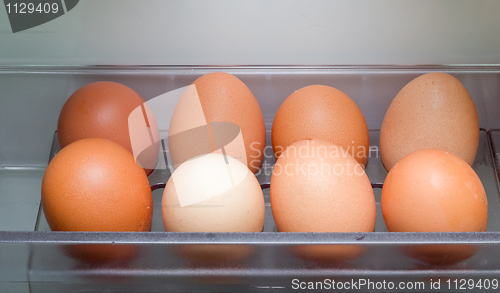 Image of Eggs In Refrigerator