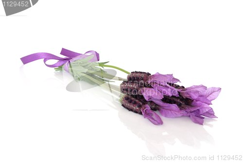 Image of Lavender Herb Flower Posy