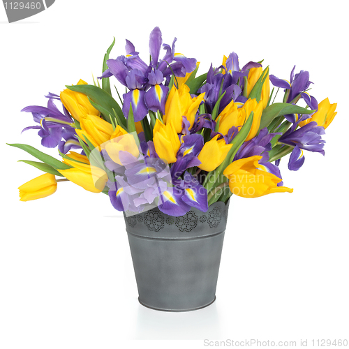 Image of Iris and Tulip Flowers