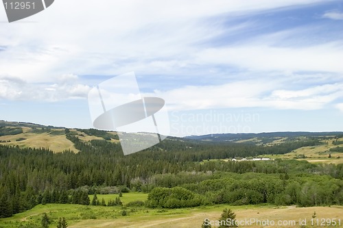 Image of Cypress Hills Park