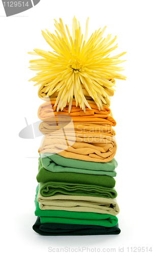 Image of Joyful spring laundry