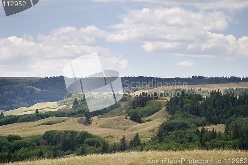 Image of Cyrpess Hills