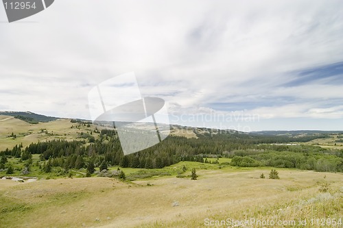 Image of Cypress Hills Park