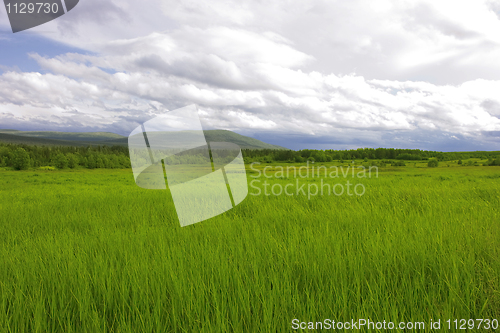 Image of Green summer field and hills