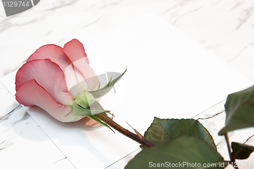 Image of Red rose and the letter