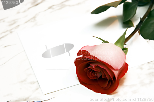 Image of Red rose and the letter
