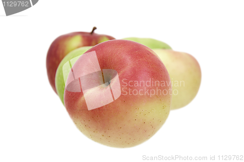 Image of Apples on a white background