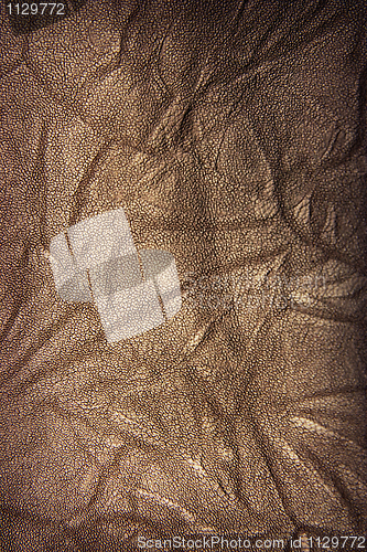 Image of Ancient leather framework