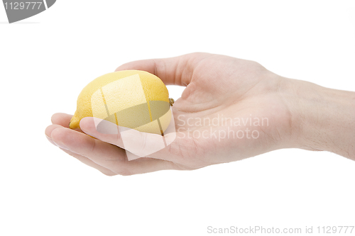 Image of Yellow lemon in a hand