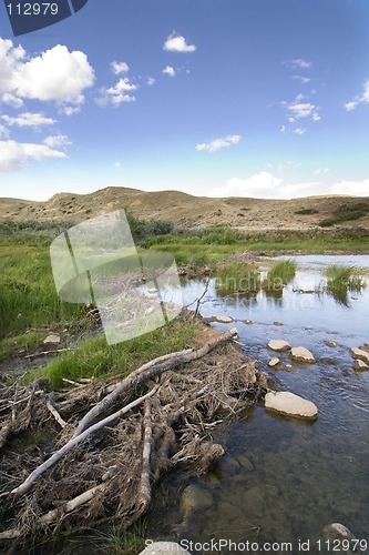 Image of Beaver Dam