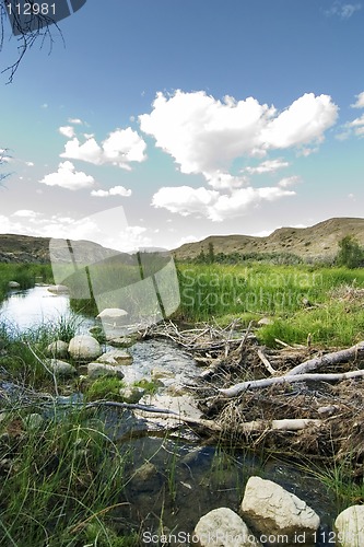 Image of Beaver Dam