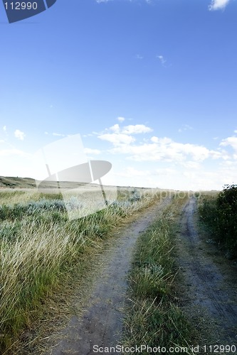 Image of Small Dirt Road