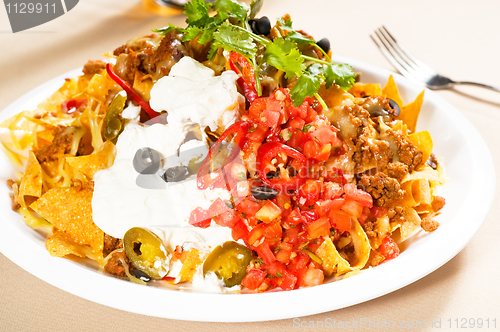 Image of fresh nachos and vegetable salad with meat