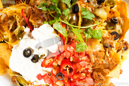 Image of fresh nachos and vegetable salad with meat