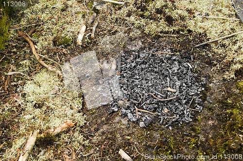 Image of Camp Fire Ash