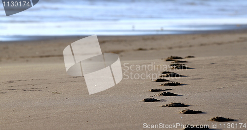 Image of beach footsteps