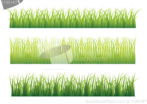 Image of Green grass variation