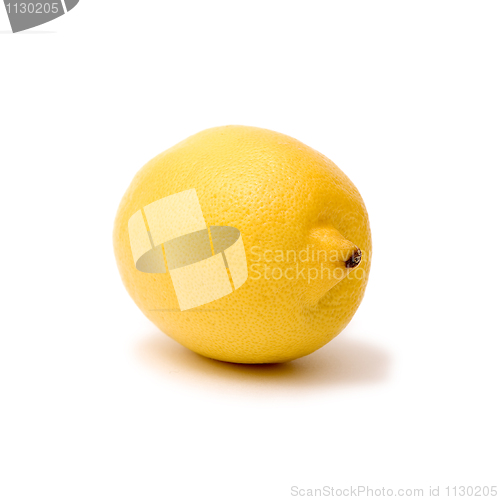 Image of Yellow lemon on a white background