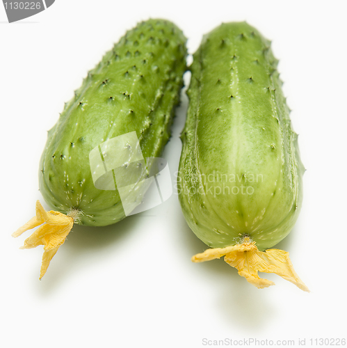 Image of Two fresh cucumbers