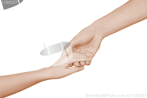 Image of Children's hand in a man's hand