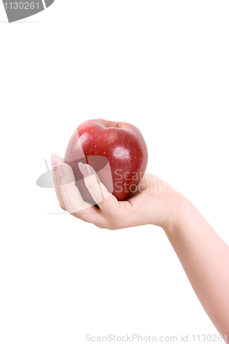 Image of Apple on a palm