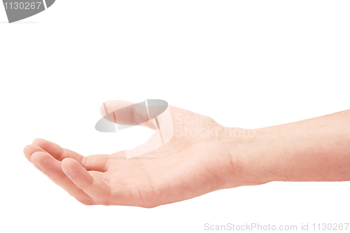 Image of Hand of the man on a white background