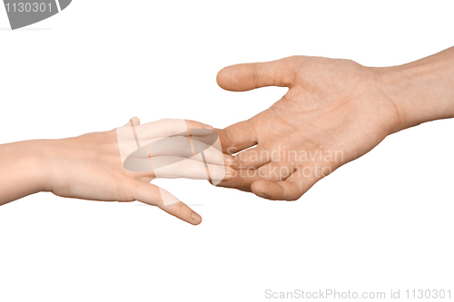 Image of Children's hand in a man's hand