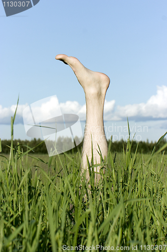 Image of Foot sticking out of a grass